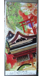 香椎宮本殿と綾杉