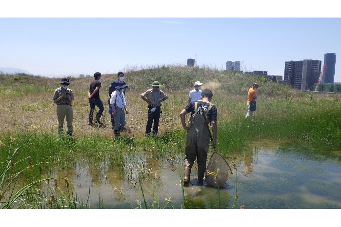 造成中のはばたき公園における生物相調査