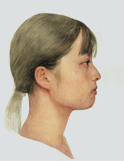 側面の肖像